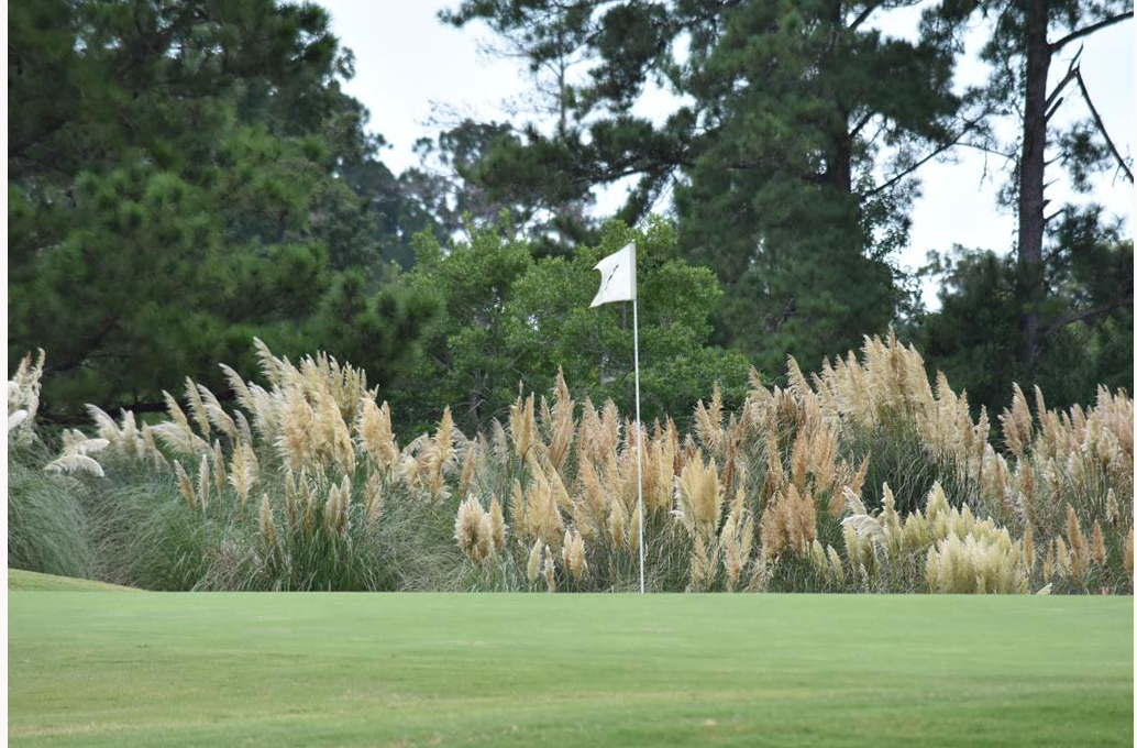Heritage Golf Group Brunswick Plantation brunswick-county-ravens-home